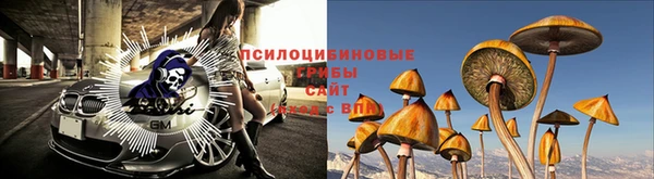 герыч Россошь
