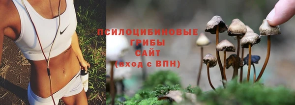 герыч Россошь