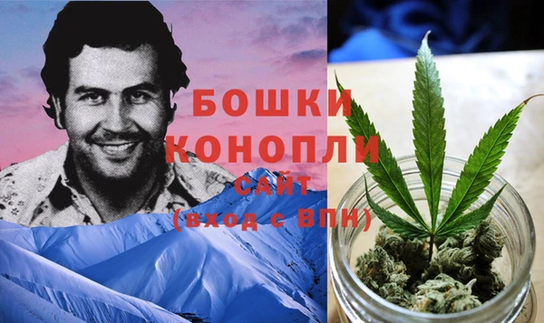 соль ск Рославль