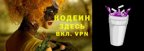 соль ск Рославль