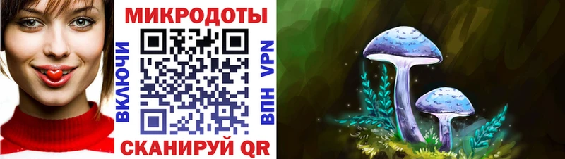 маркетплейс клад  Чегем  Псилоцибиновые грибы Psilocybe  hydra сайт 